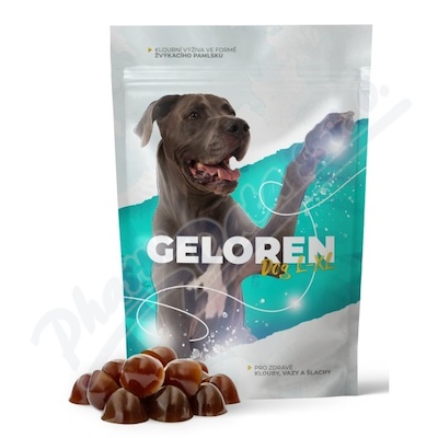 Geloren Dog L-XL kloubní výživa 60 želé