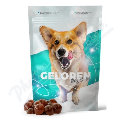Geloren Dog S-M kloubní výživa 60 želé